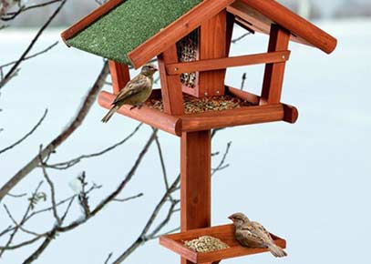 Was Sie über Vogelhäuser wissen müssen! - Vogelhaus kaufen für Garten oder Terrasse - Was ist zu beachten?
