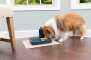 PetSafe digitaler Futterautomat für Katze & Hund