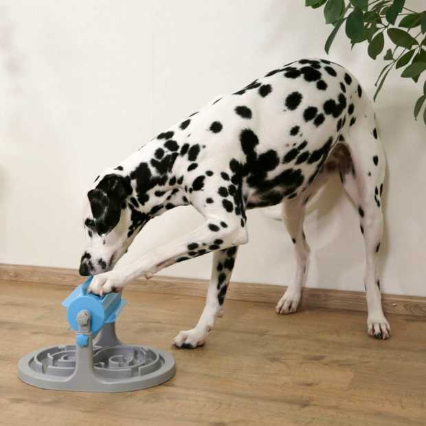 AntiSchling Napf Hund online kaufen