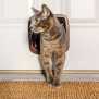 PetSafe Katzenklappe 4-Wege braun