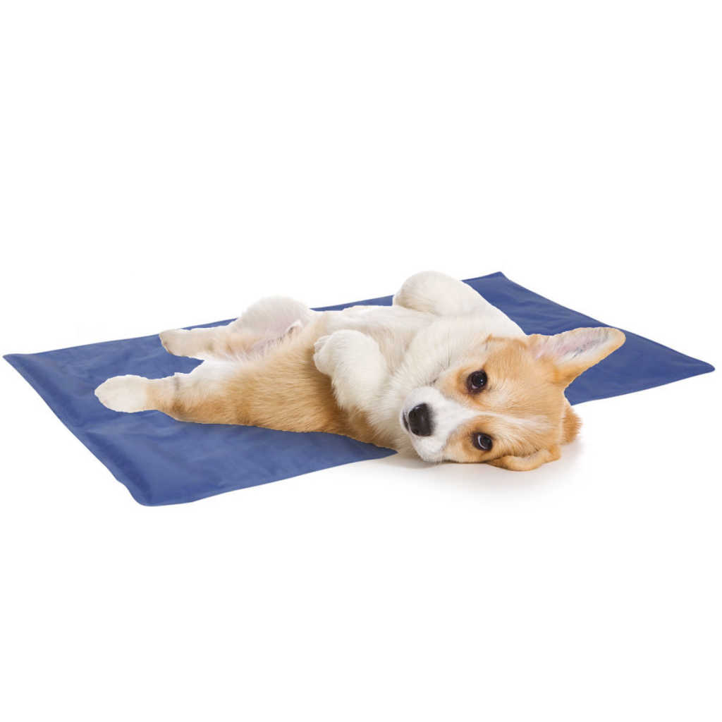 Pet Hund Katze Kühl Matte selbst kühlende Gel-Matte Pad Bett