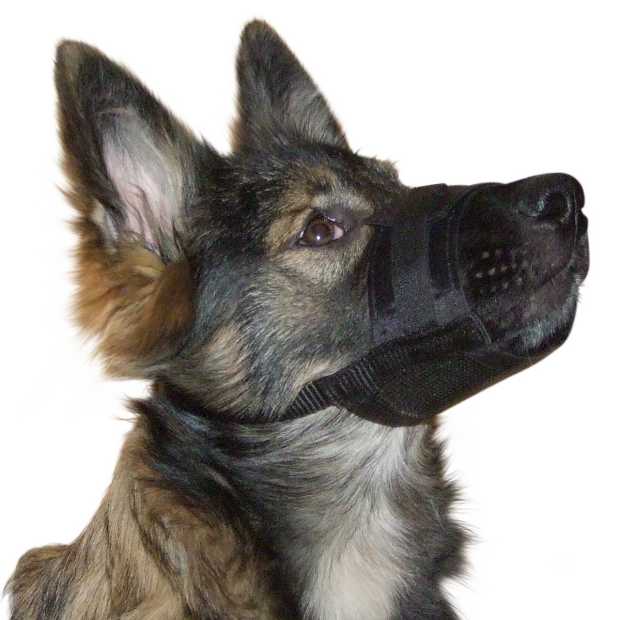 Kerbl Hunde Maulkorb NYLON 17-22 cm