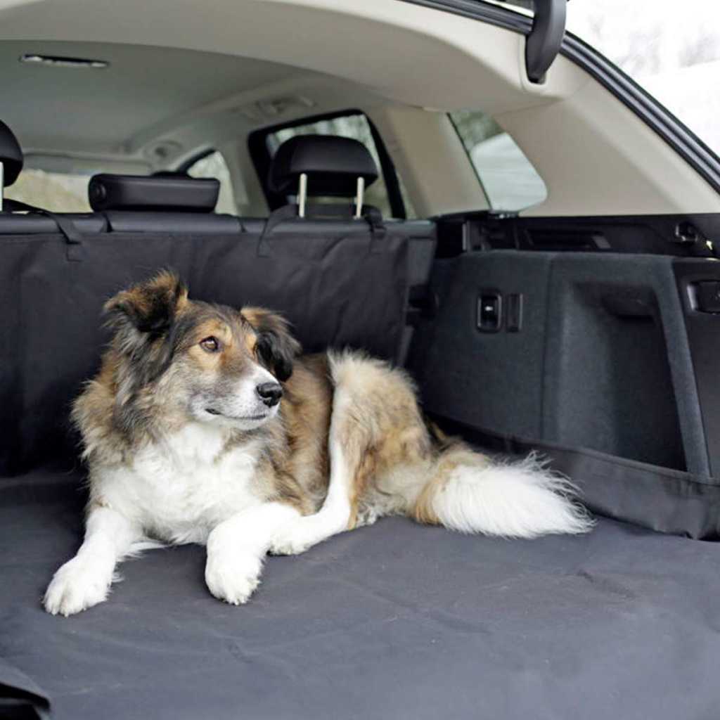 praktische Polyester Kofferraum Auto Schon Decke, Hundematte
