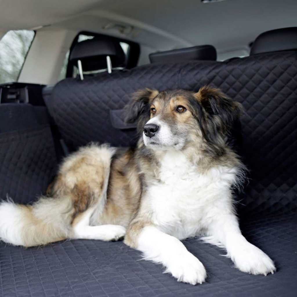 Kofferraumschutz Hunde Premium Hundedecke
