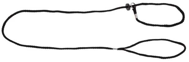 Vorführleine schwarz, Nylon mit Halsung, 6mm x 125cm