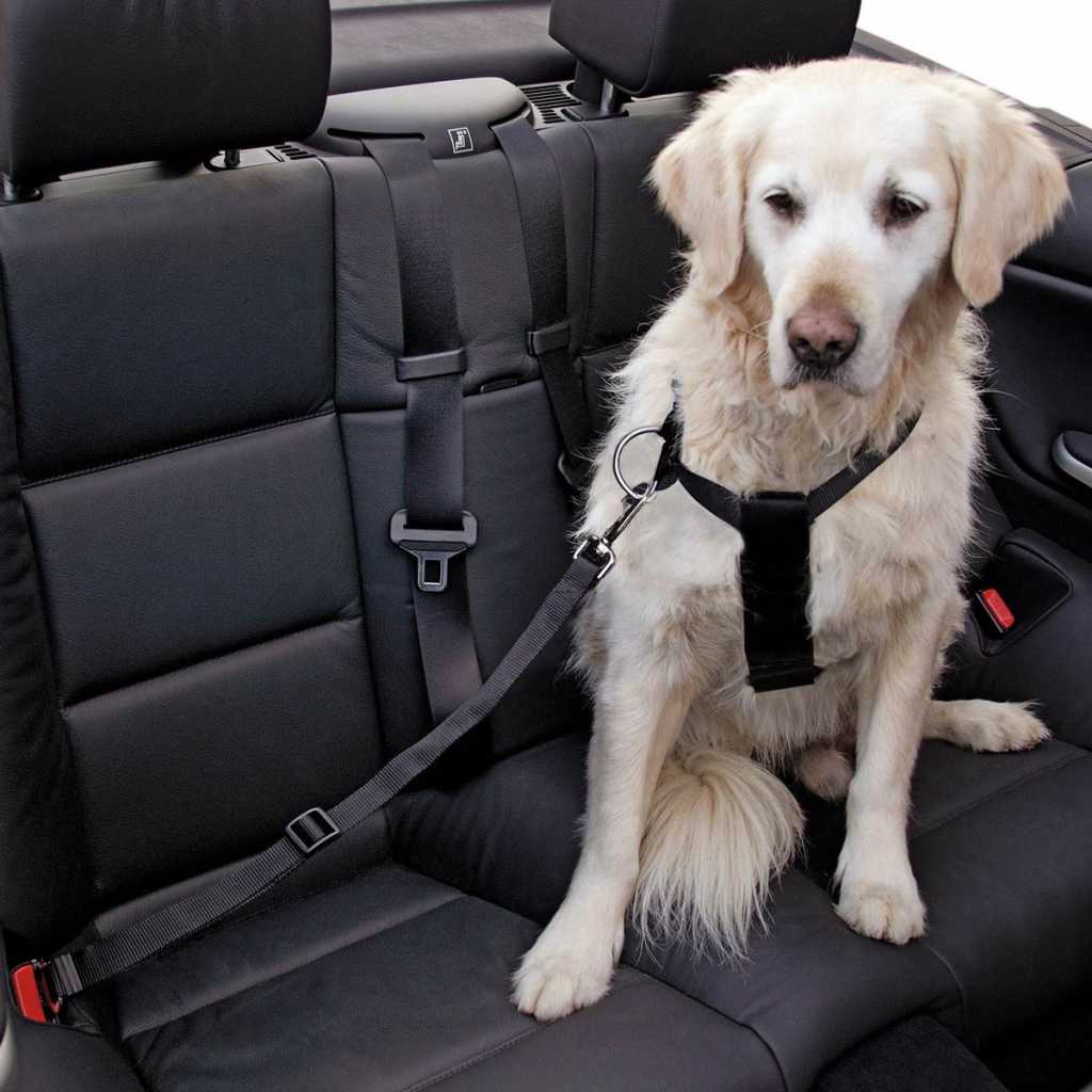 Einstellbare Auto Hundeleine 2 in 1 Verstellbarer Anschnallgurt Hund Auto,  Hunde Autosicherheitsgurte, Universal Hundegurt fürs Auto Kopfstütze