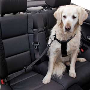 Auto Sicherheitsgurt Hund anschnallen 30-60cm Anschnallgurt verstellb
